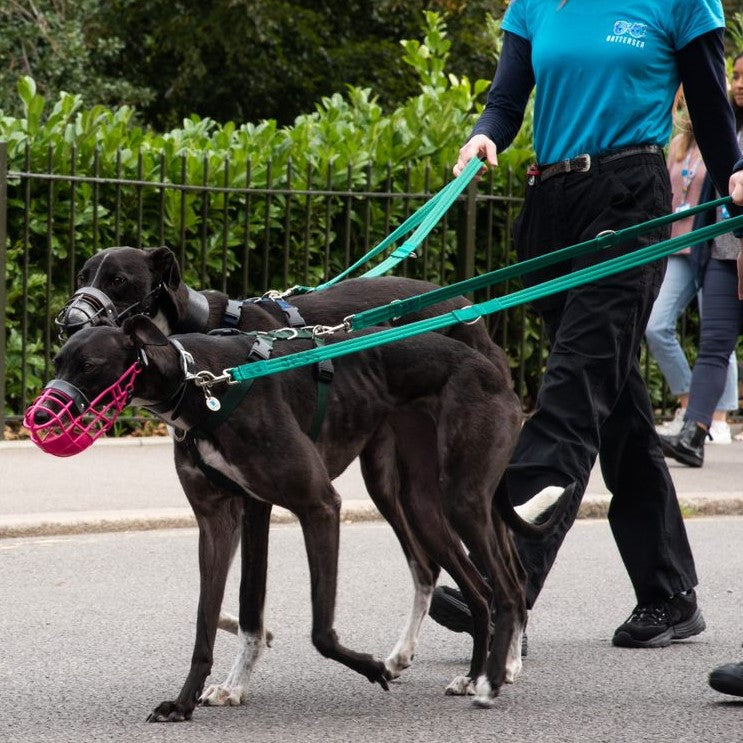 Double Ended Training Dog Leads