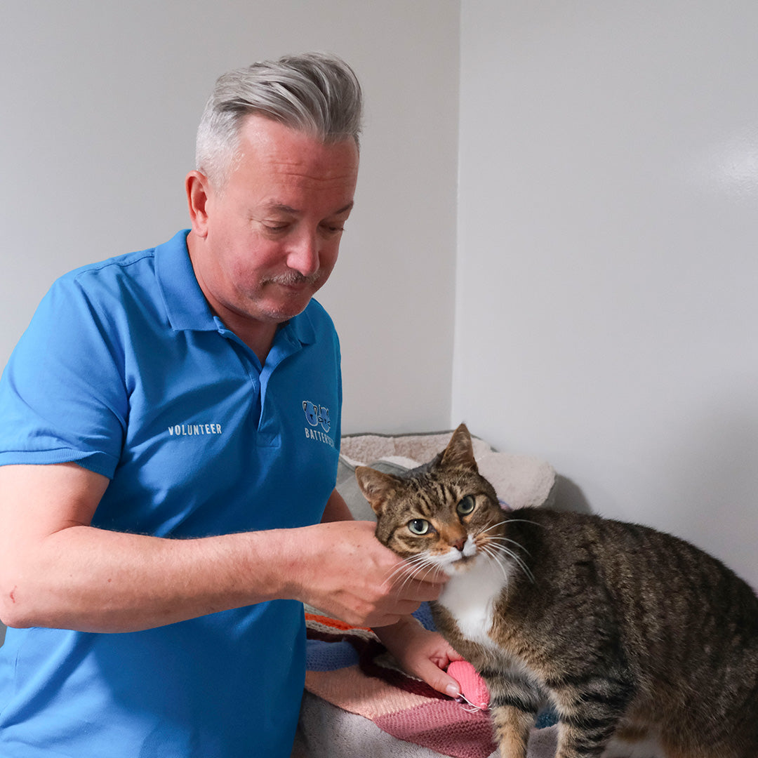 Wellbeing Kit For A Cat
