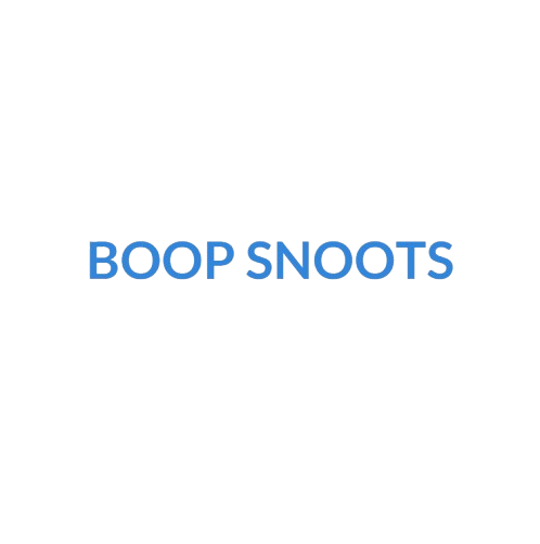 BOOP SNOOTS LIMITED