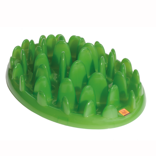 Green Dog Slow Feeder