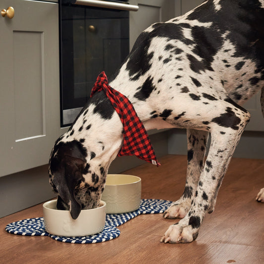 Scruffs Icon Dog Water Bowl - Cream