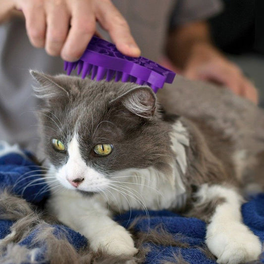 KONG Zoom Groom Cat Brush